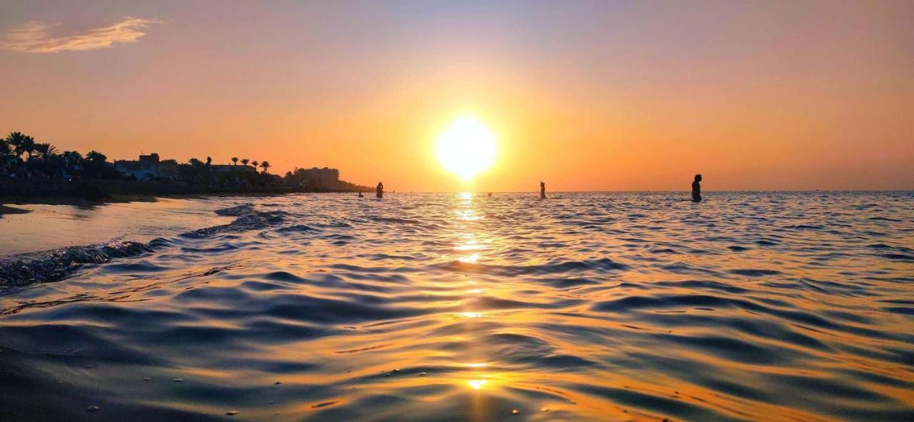 Sueno De Ii By Costa Denia